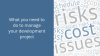 What you need to do to manage your development project